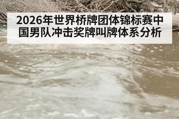 2026年世界桥牌团体锦标赛中国男队冲击奖牌叫牌体系分析